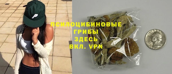 соль ск Елабуга