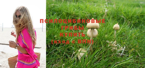 кокаин Ельня