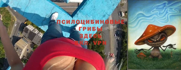 соль ск Елабуга