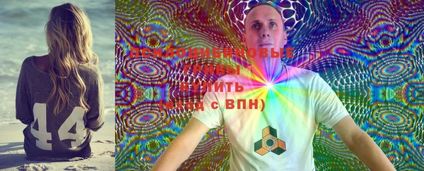 соль ск Елабуга